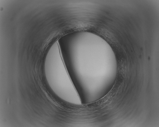 X0000067360742200603310924