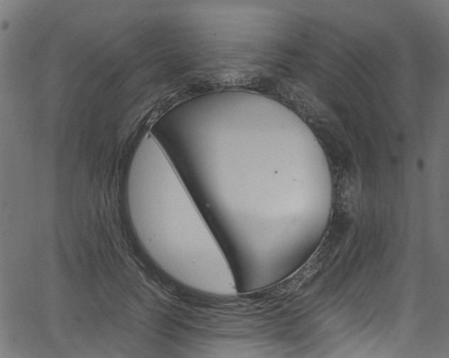 X0000067360746200603310924