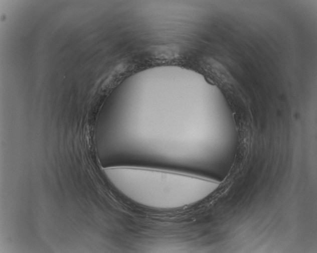 X0000067360758200603310925
