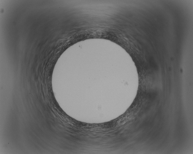 X0000067360769200603310924