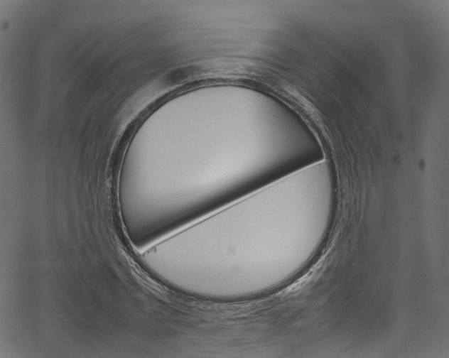 X0000067360779200603310924
