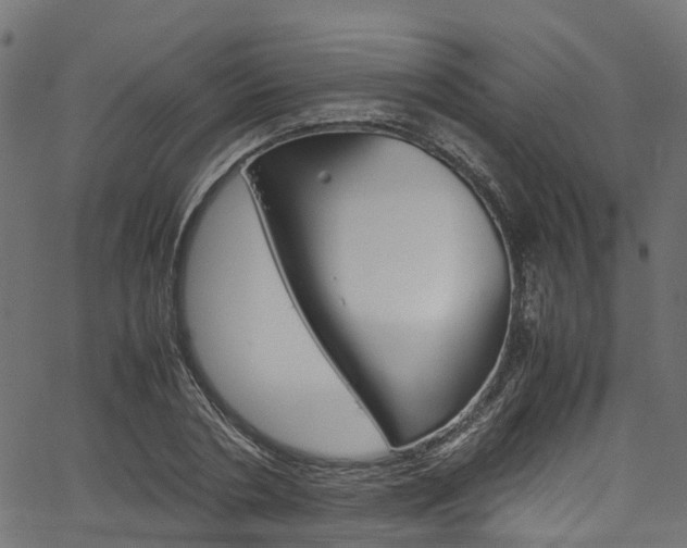 X0000067360786200603310924