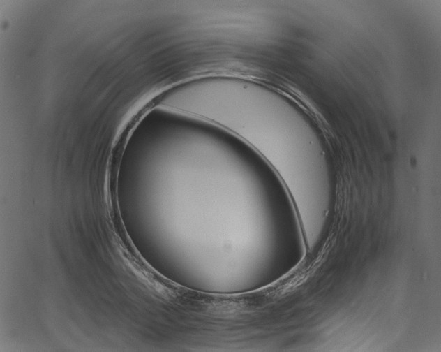 X0000067360788200603310924