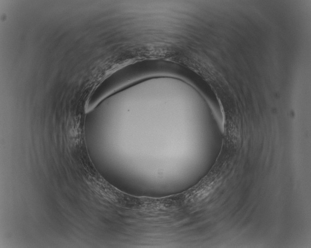 X0000067360818200603310922