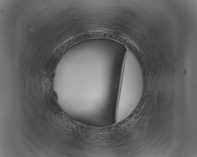 X0000067360821200603310922
