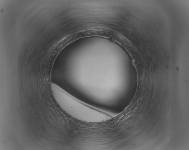 X0000067360822200603310922