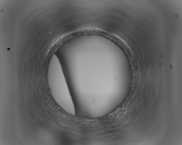 X0000067360823200603310922