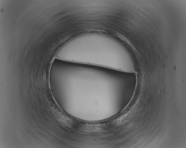 X0000067360825200603310923
