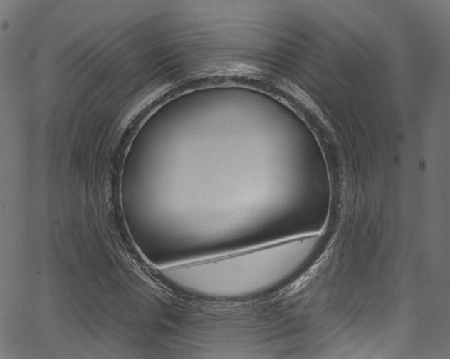 X0000067360826200603310923
