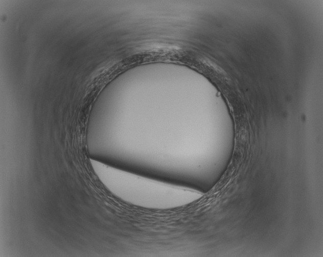 X0000067360869200603310922