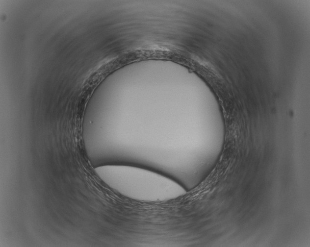 X0000067360870200603310922