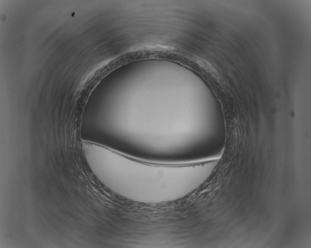 X0000067360872200603310922