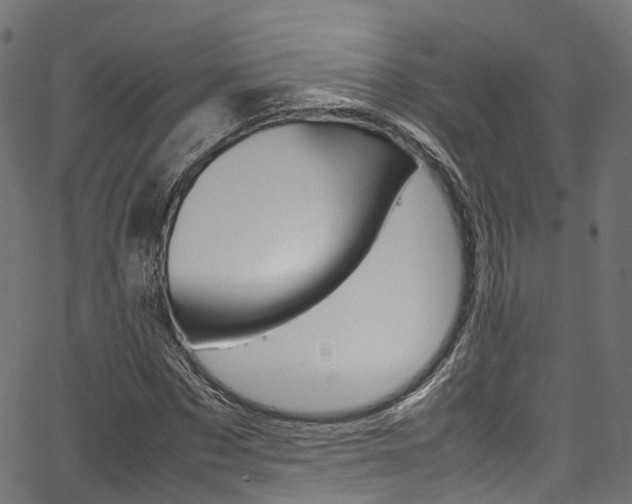 X0000067360873200603310922