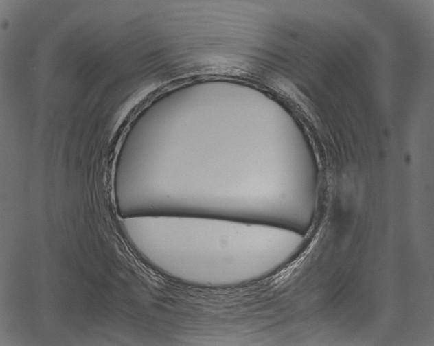 X0000067360875200603310922