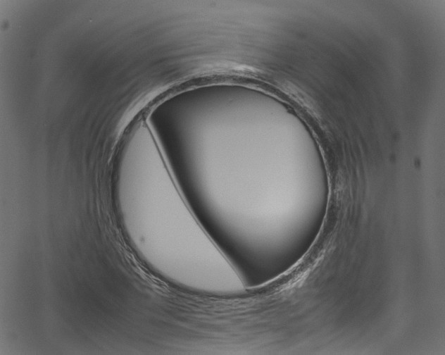 X0000067360877200603310922