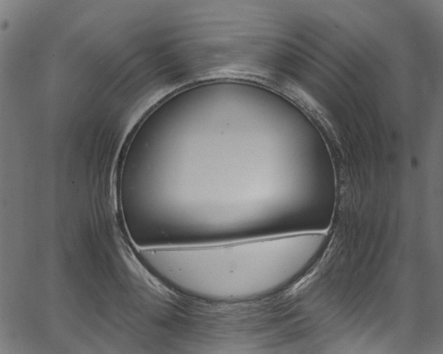 X0000067360892200603310922