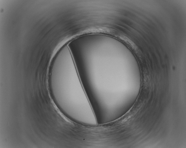 X0000067360894200603310922