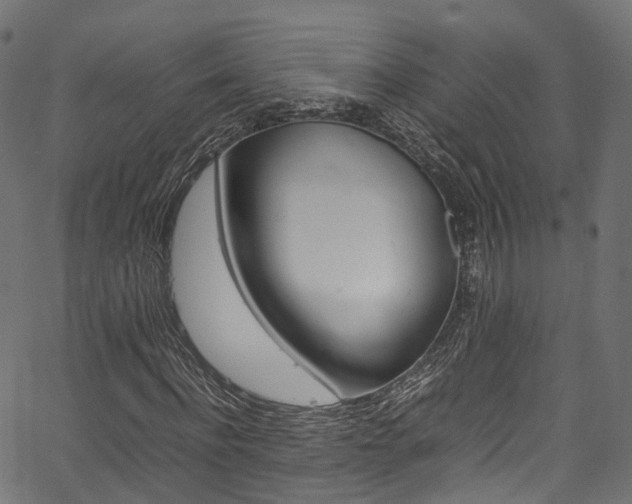X0000067360916200603310921