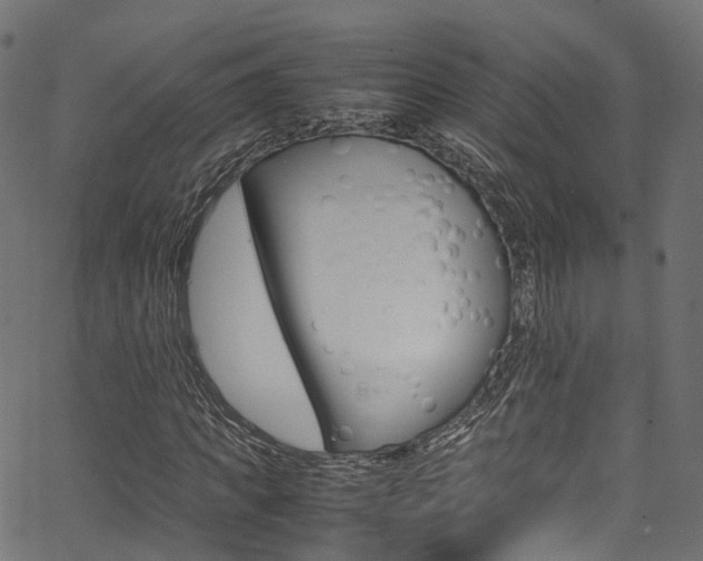 X0000067360917200603310921