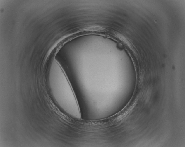X0000067360923200603310921