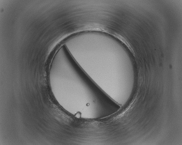 X0000067360926200603310921