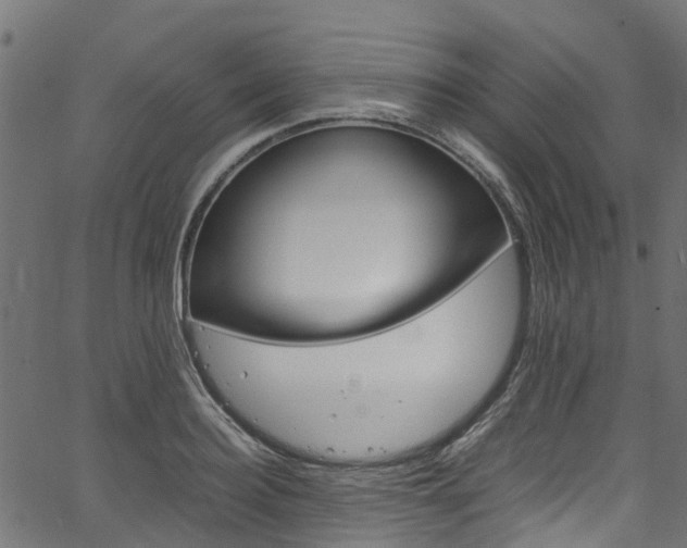 X0000067360940200603310921
