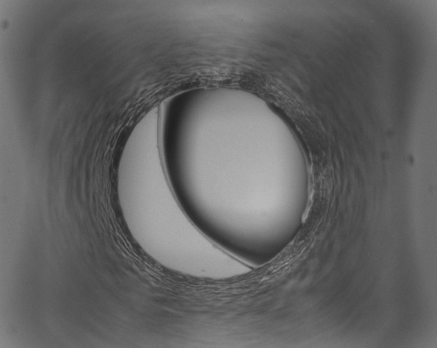X0000067360961200603310921