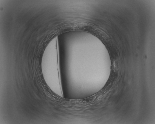 X0000067360963200603310921