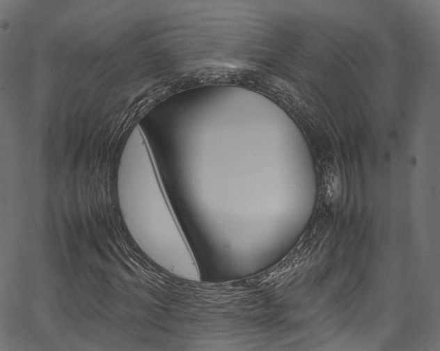 X0000067360964200603310921