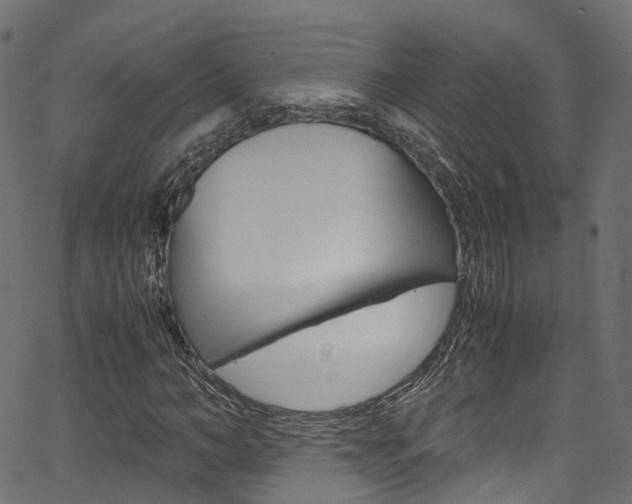 X0000067360966200603310921