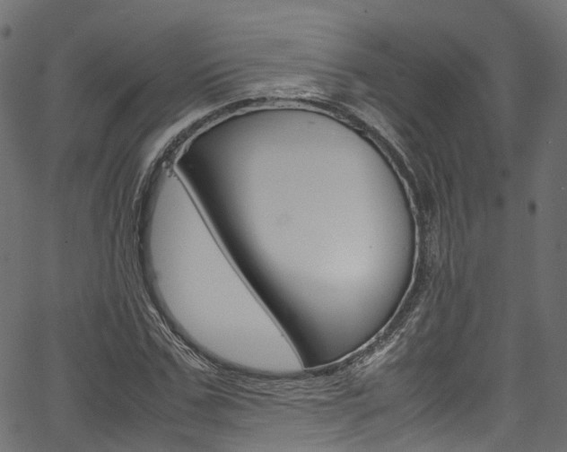 X0000067360971200603310921