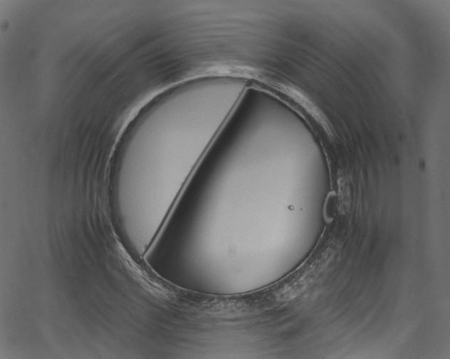 X0000067360972200603310921