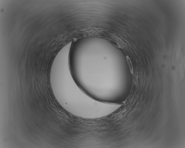 X0000067361010200603310919