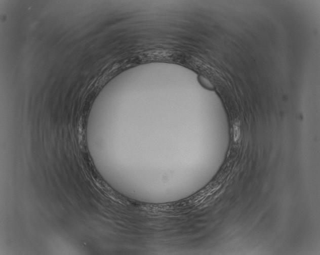 X0000067361011200603310919