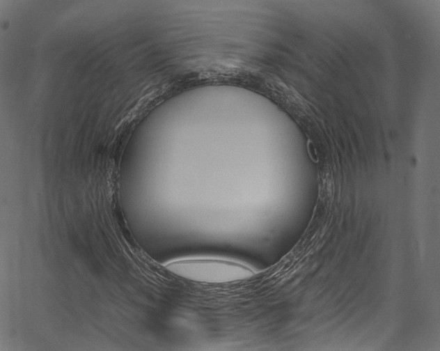 X0000067361012200603310919