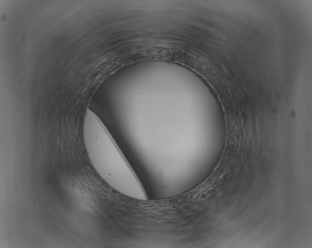 X0000067361013200603310919