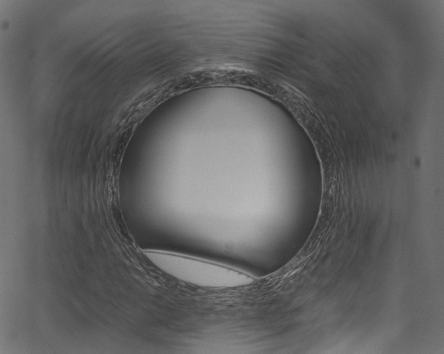 X0000067361014200603310919