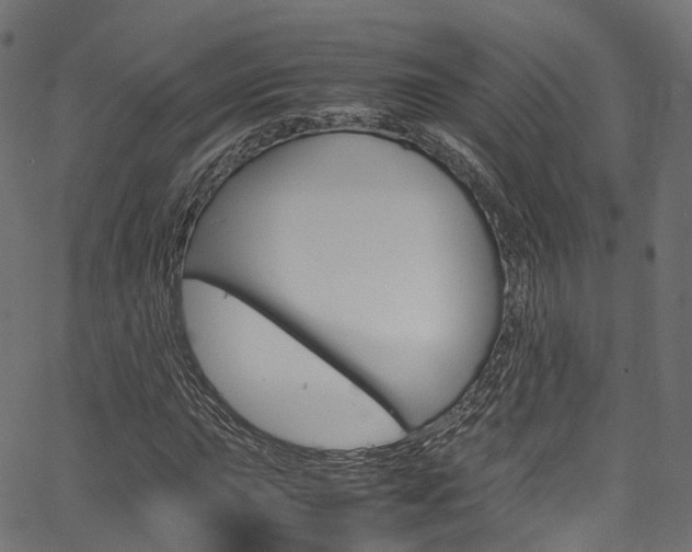 X0000067361015200603310919