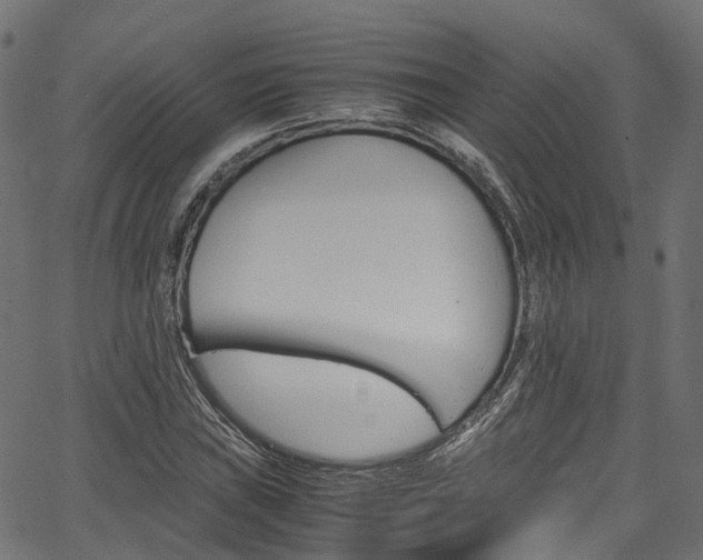 X0000067361019200603310919