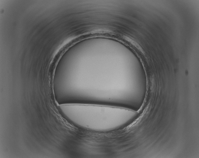 X0000067361021200603310919
