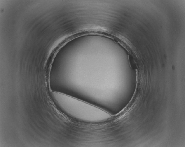 X0000067361022200603310919