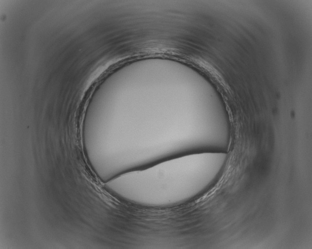 X0000067361023200603310920