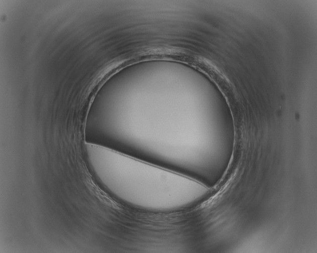 X0000067361025200603310920