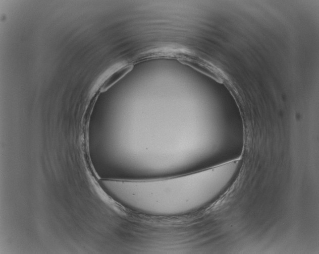X0000067361042200603310920
