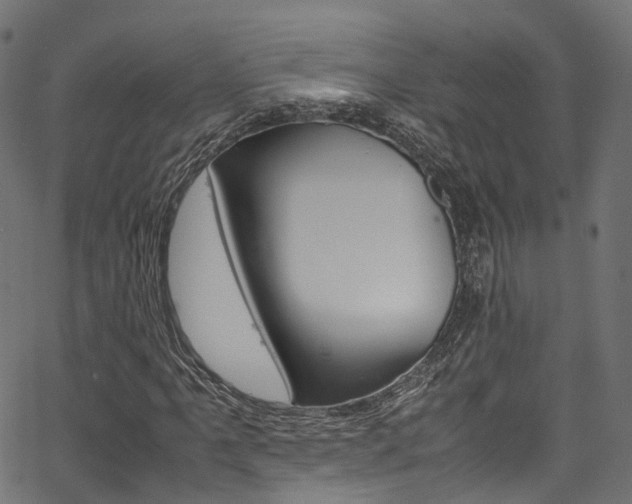 X0000067361061200603310919