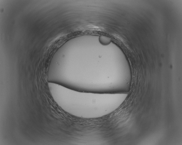 X0000067361063200603310919