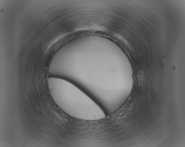 X0000067361064200603310919