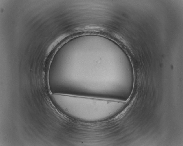 X0000067361066200603310919