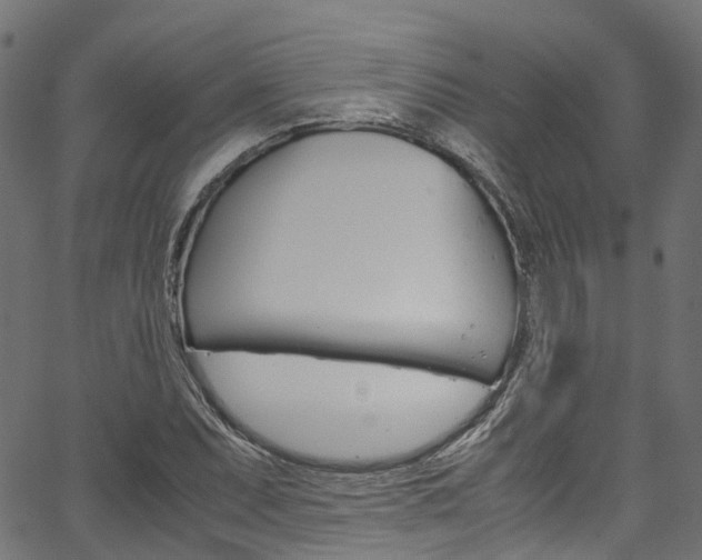 X0000067361071200603310919
