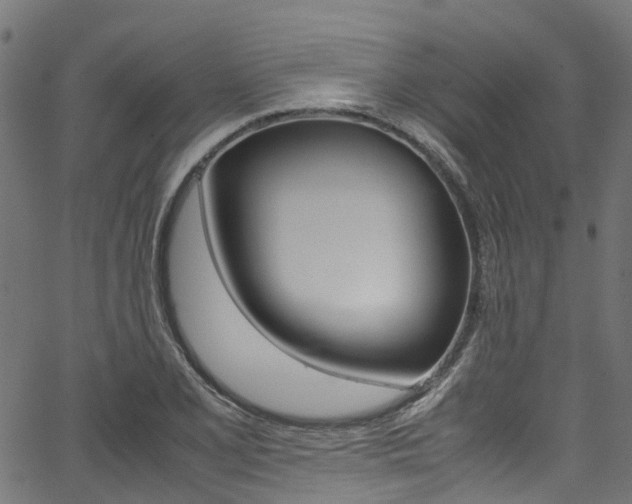 X0000067361077200603310919